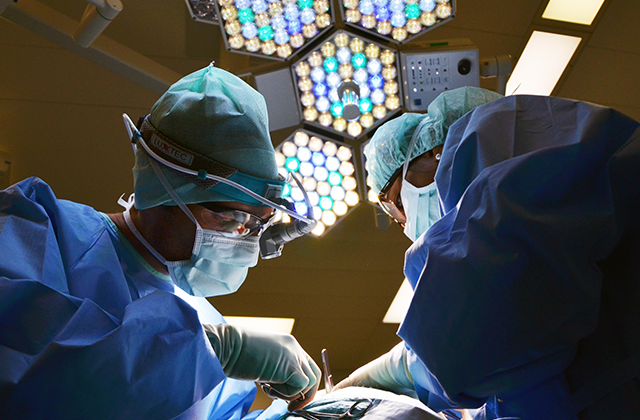 Foodstuff and Pharmaceuticals