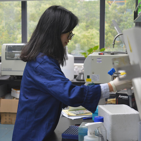 surfactants synthesis