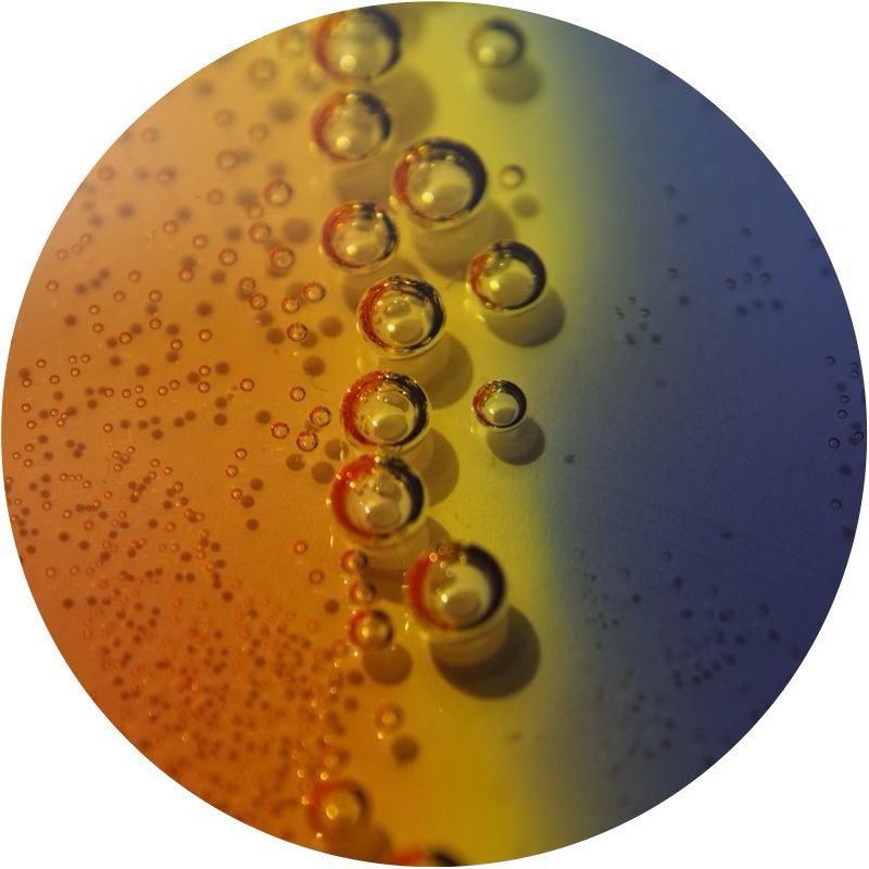Dispersion and Solubilization
