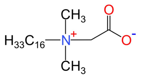 Hexadecyl Dimethyl Betaine (BS-16) CAS:693-33-4
